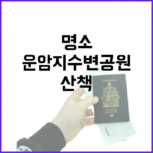 대구 운암지수변공원, 밤빛 속 산책 명소