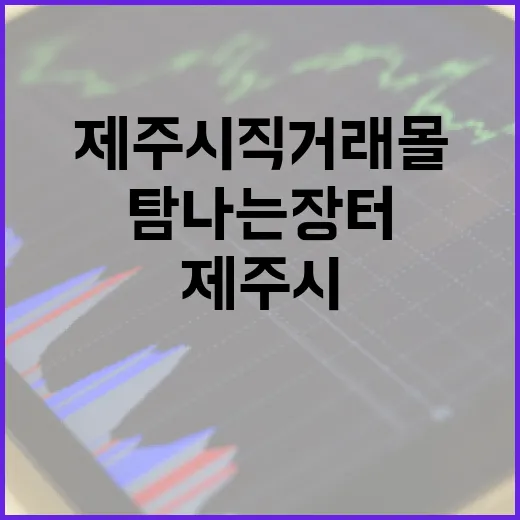 제주시 직거래몰 탐나는장터 대개장