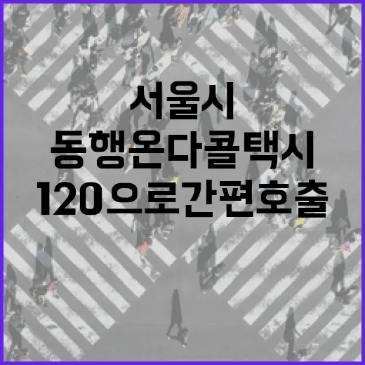 서울시 동행 온다콜택시, 120으로 간편 호출