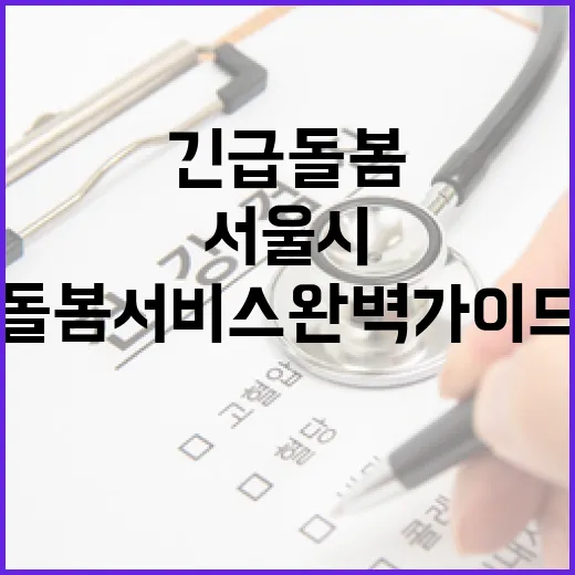 서울시 긴급 돌봄 서비스 완벽 가이드