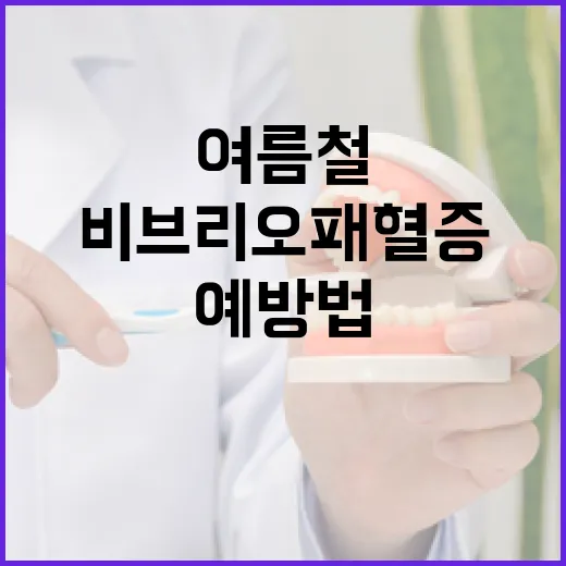 여름철 비브리오패혈증 철저 예방법