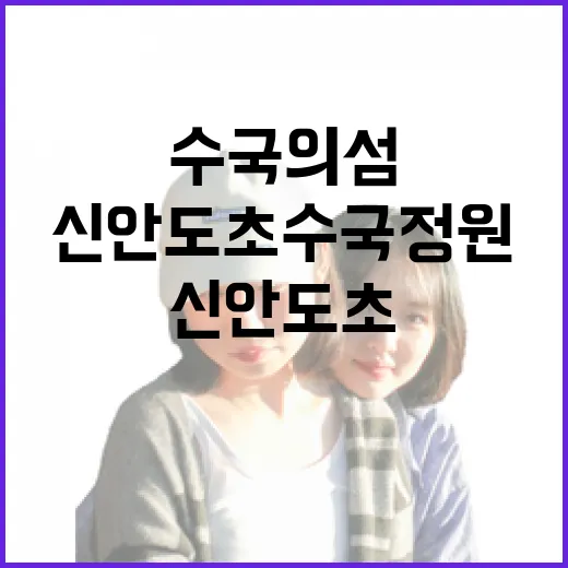 신안 도초수국정원, 여름 수국의 섬