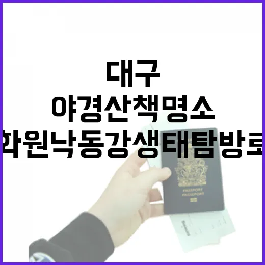 대구 화원 낙동강생태탐방로 야경 산책 명소