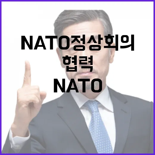 NATO 정상회의서 한반도 협력 강화