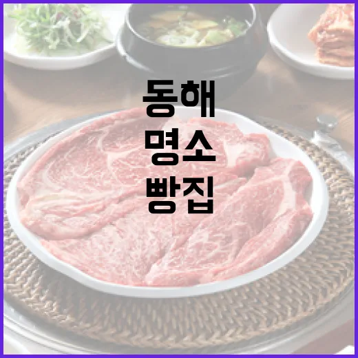 동해 맛집과 빵집 명소 총정리