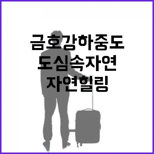 금호강 하중도, 도심 속 자연 힐링 명소
