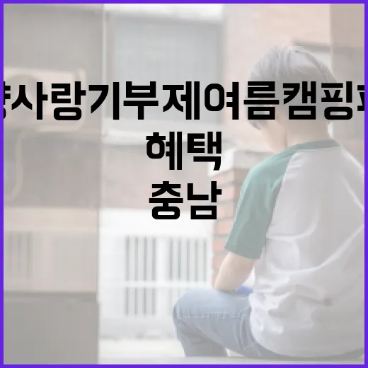 충남 고향사랑기부제 여름 캠핑 페스티벌 혜택 총정리