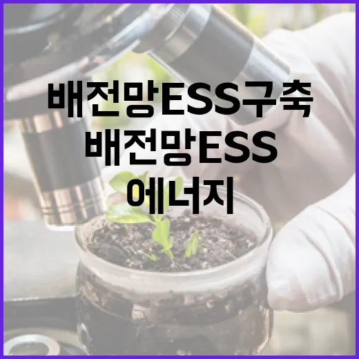 호남 재생에너지 계통제약 해소 첫 배전망 ESS 구축