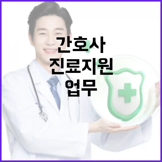 진료지원간호사 제도, 자격과 업무 명확화