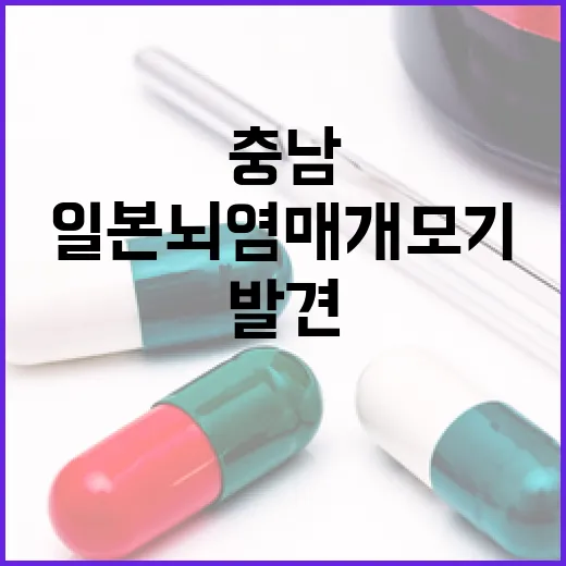 충남서 일본뇌염 매개모기 조기 발견, 예방 철저 당부