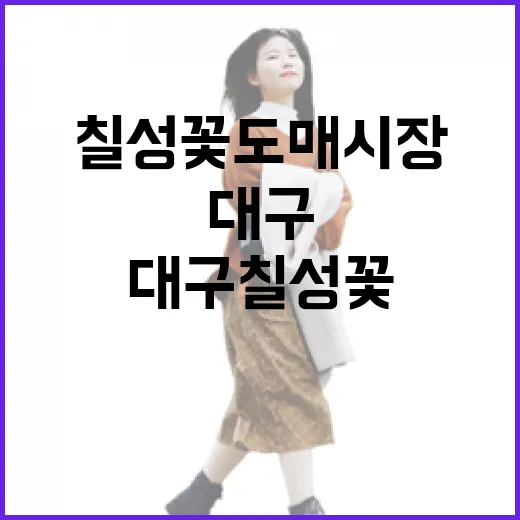 대구 칠성꽃도매시장 꽃의 향연