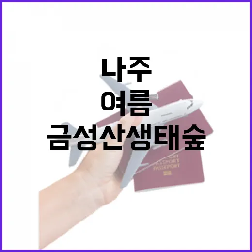 나주 금성산 생태숲, 여름 힐링 명소