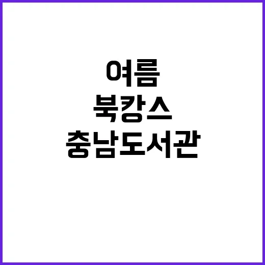 충남도서관서 즐기는 여름 북캉스