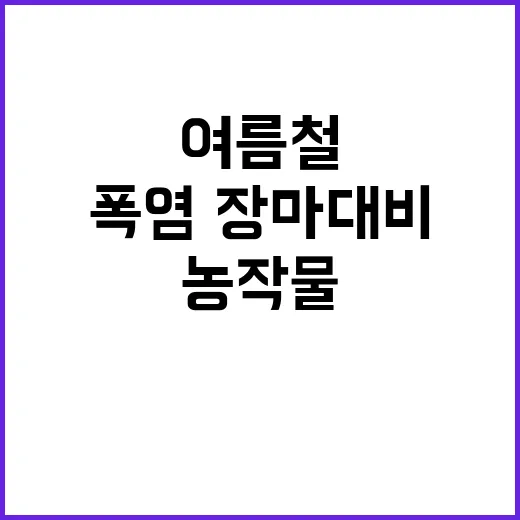 여름철 농작물 폭염·장마 대비 관리법