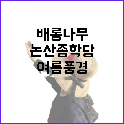 논산 종학당, 분홍 배롱나무와 한옥의 여름 풍경