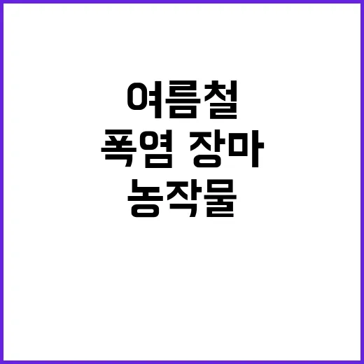 여름철 농작물 폭염·장마 철저 관리법