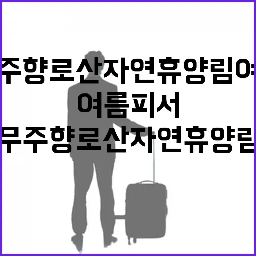 무주 향로산자연휴양림 여름 피서 완벽 가이드