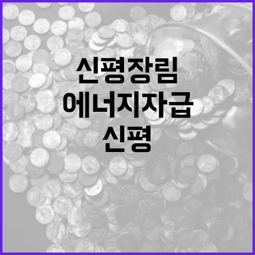 신평장림산단, 에너지 자급 스마트그린산단 도약