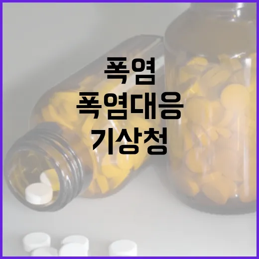 대전기상청이 전하는 폭염 대응 핵심 전략