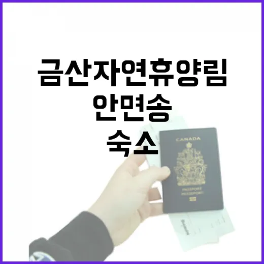 금산 자연휴양림 안면송 독채 숙소 체험기