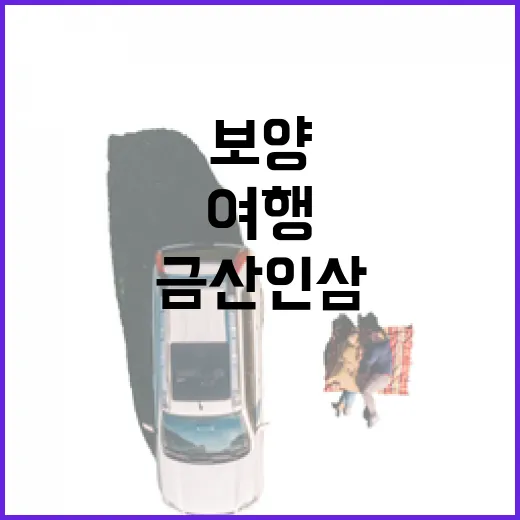 금산 인삼 여행, 하루 만에 즐기는 보양과 힐링