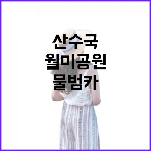 월미공원 산수국과 물범카 힐링 산책