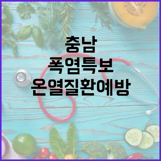 충남 폭염특보, 온열질환 예방 3대 수칙