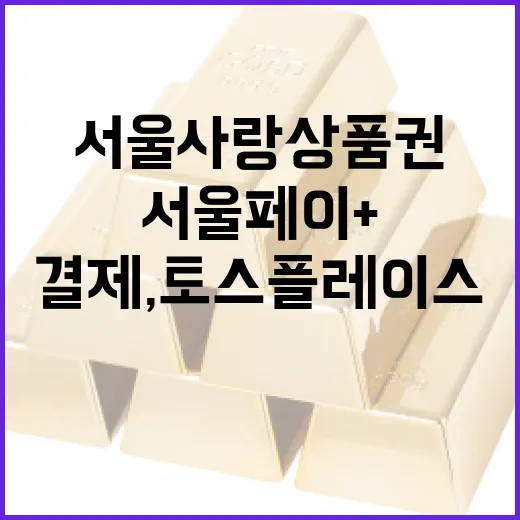 서울사랑상품권 결제, 토스플레이스와 서울페이+로 혁신