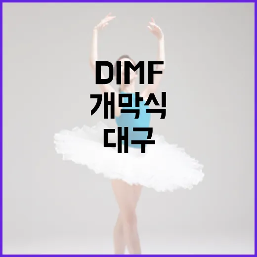 대구 여름밤 빛낸 DIMF 20주년 개막식