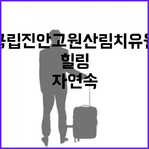 진안 국립진안고원산림치유원, 자연 속 힐링 명소