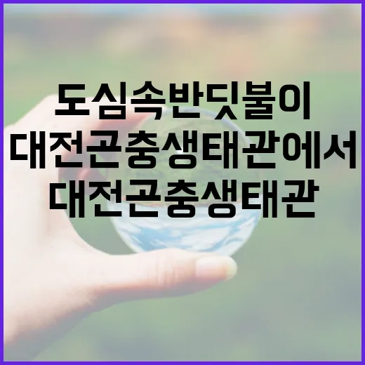 도심 속 반딧불이 빛 체험 대전곤충생태관에서