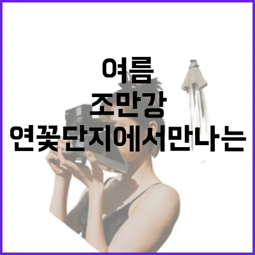 김해 조만강 연꽃단지에서 만나는 여름 힐링 산책