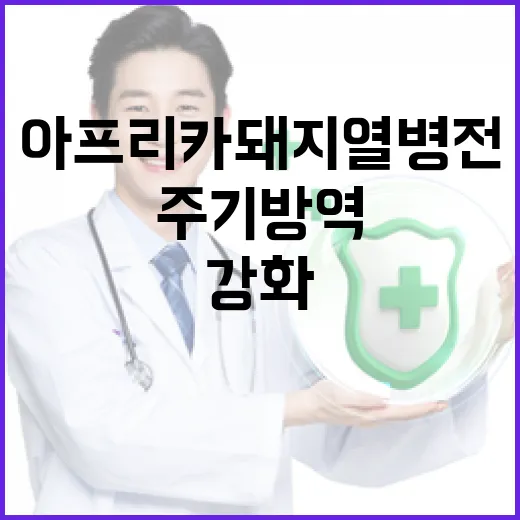아프리카돼지열병 전 주기 방역 대폭 강화
