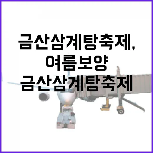 금산 삼계탕 축제, 전국 최초 여름 보양 축제