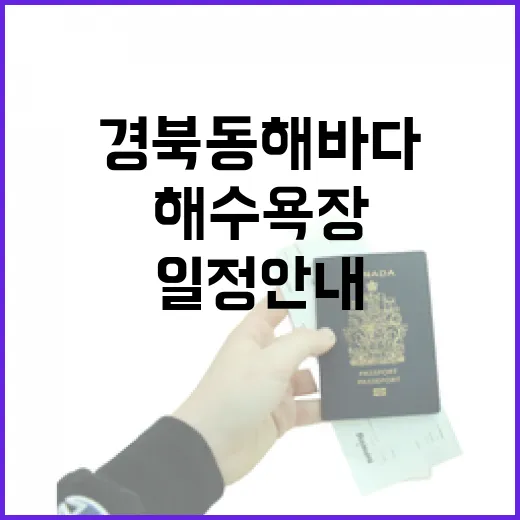 경북 동해 바다 해수욕장 개장 일정 안내