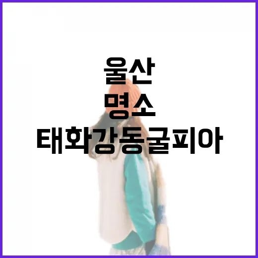 울산 태화강동굴피아, 여름철 가족 체험 명소