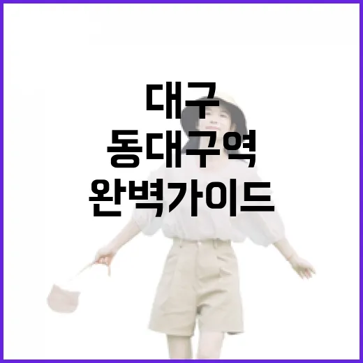 대구 교통 중심지 동대구역 완벽 가이드