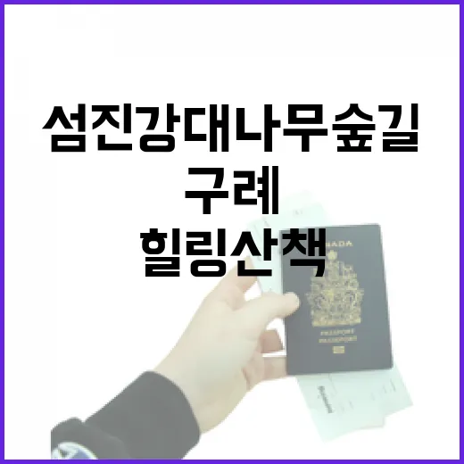 구례 섬진강 대나무숲길, 여름 힐링 산책 명소