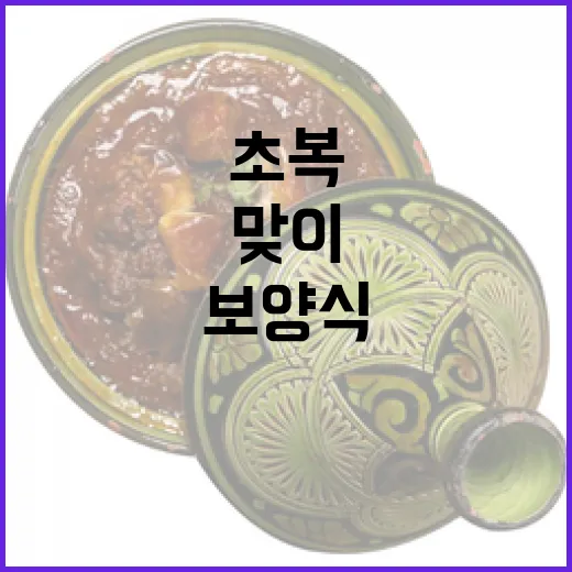 초복 맞이 보양식 닭요리 4선