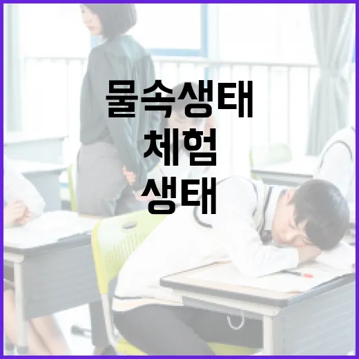 물속 생태 체험으로 배우는 환경의 가치