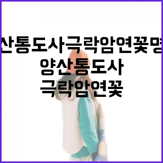 양산 통도사 극락암 연꽃 명소 풍경