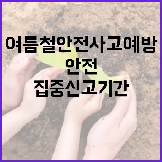 여름철 안전사고 예방, 경기도 집중신고 기간 운영