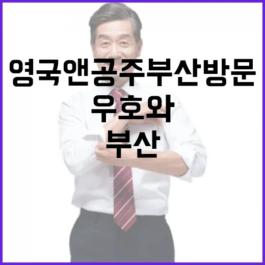 영국 앤 공주 부산 방문, 한영 우호와 보훈의 의미 재확인