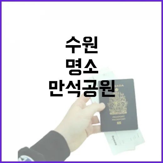 수원 만석공원, 정조의 얼 담은 여름 힐링 명소