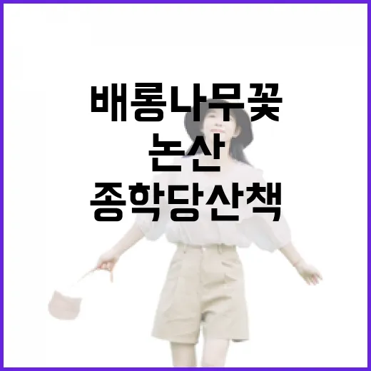연꽃과 배롱나무꽃 만개한 논산 종학당 산책
