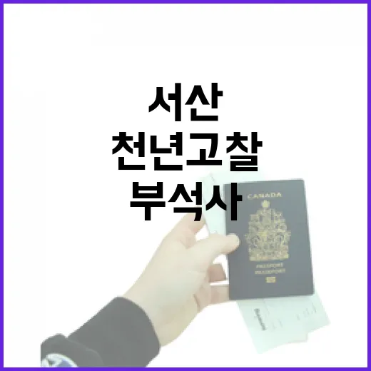 서산 부석사 수국길, 천년고찰의 여름 풍경