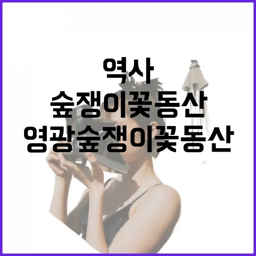 영광 숲쟁이 꽃동산, 자연과 역사의 쉼터