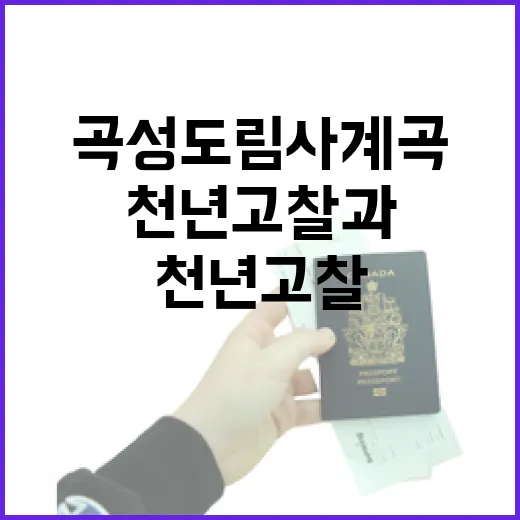 곡성 도림사계곡, 천년고찰과 맑은 물의 조화