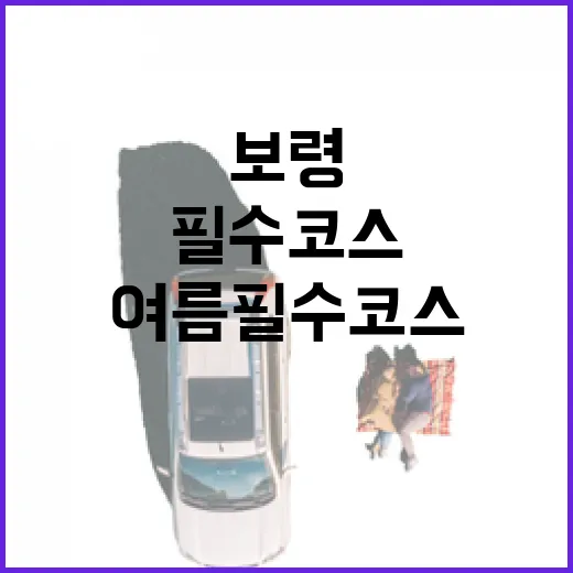 보령 여름 필수 코스 3선