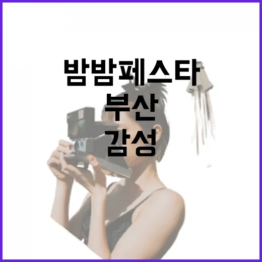부산 밤밤페스타, 한여름 밤의 감성 축제